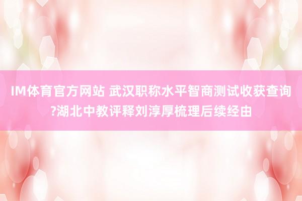 IM体育官方网站 武汉职称水平智商测试收获查询?湖北中教评释刘淳厚梳理后续经由