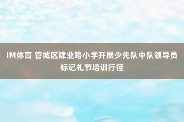 IM体育 管城区肄业路小学开展少先队中队领导员标记礼节培训行径