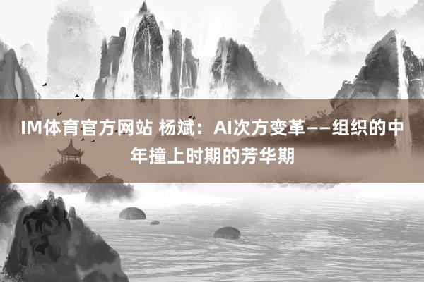 IM体育官方网站 杨斌：AI次方变革——组织的中年撞上时期的芳华期