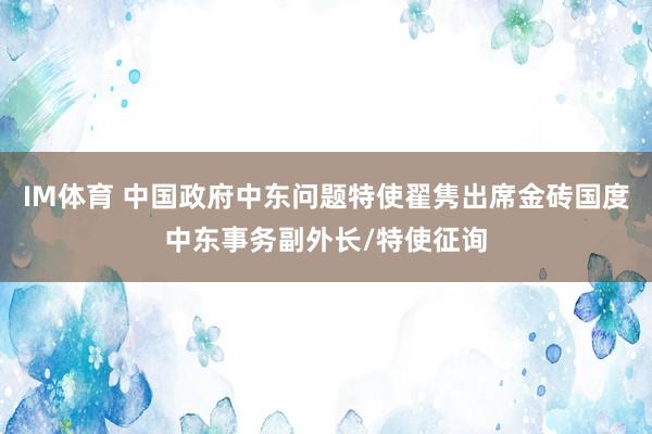 IM体育 中国政府中东问题特使翟隽出席金砖国度中东事务副外长/特使征询