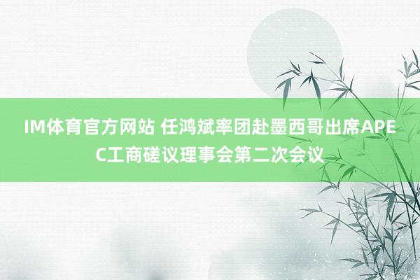 IM体育官方网站 任鸿斌率团赴墨西哥出席APEC工商磋议理事会第二次会议