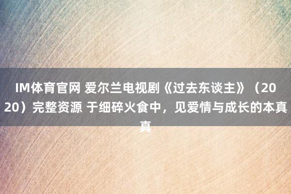 IM体育官网 爱尔兰电视剧《过去东谈主》（2020）完整资源 于细碎火食中，见爱情与成长的本真